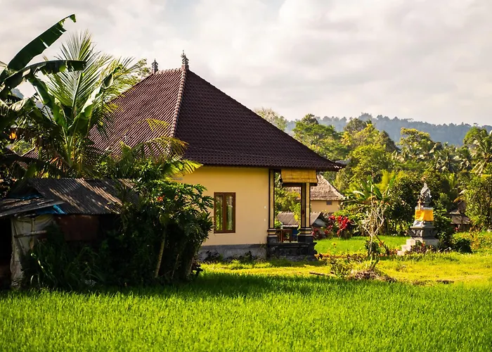 The Babakan Accommodations